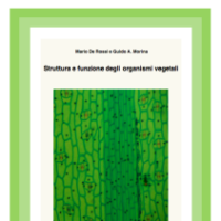 Aprire un’erboristeria